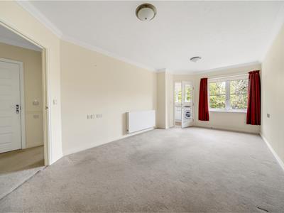 Picture 8